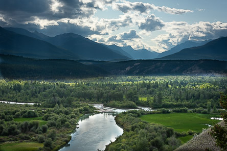 Columbia River wetlands