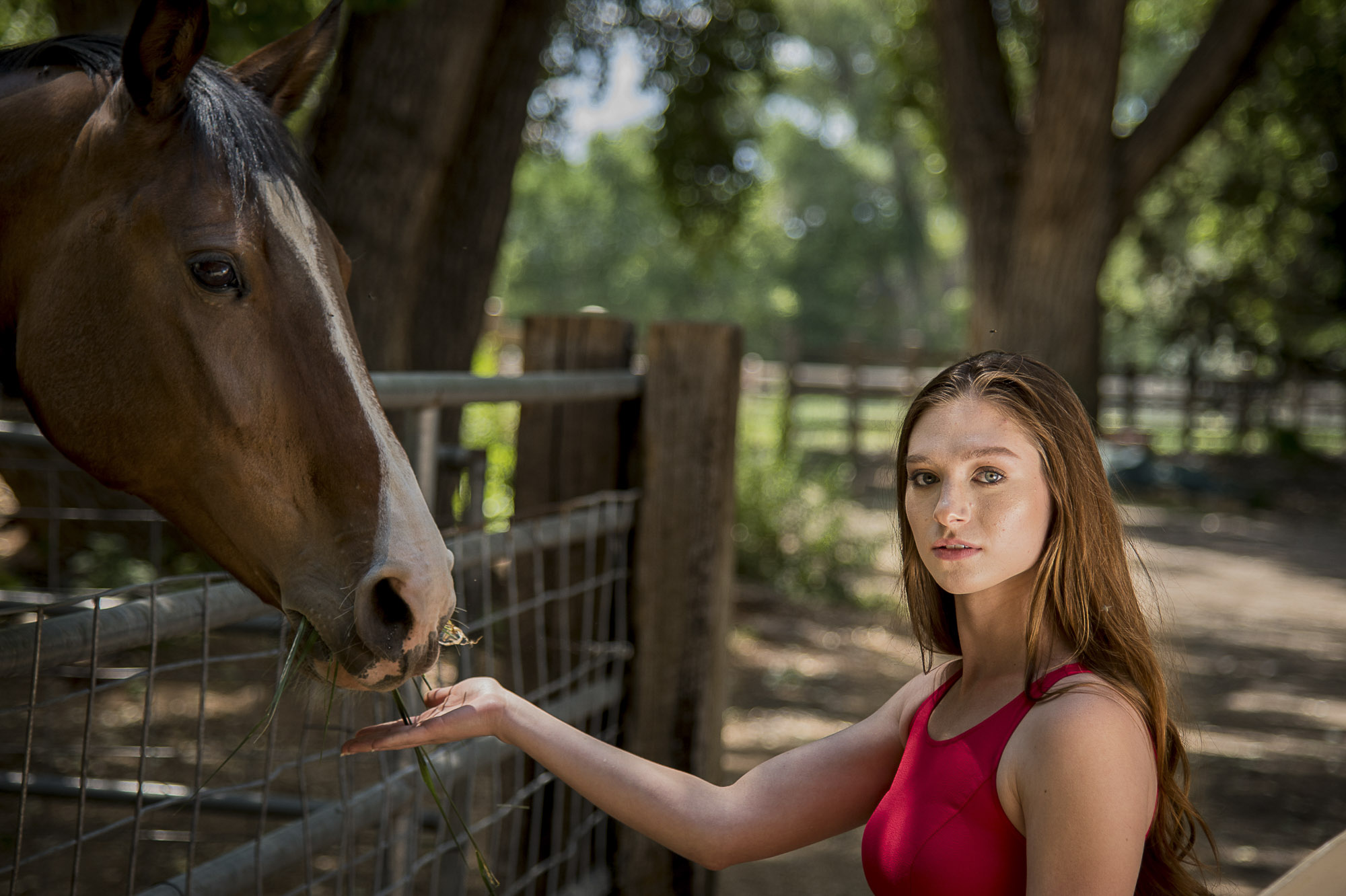 NM Model(portraits)