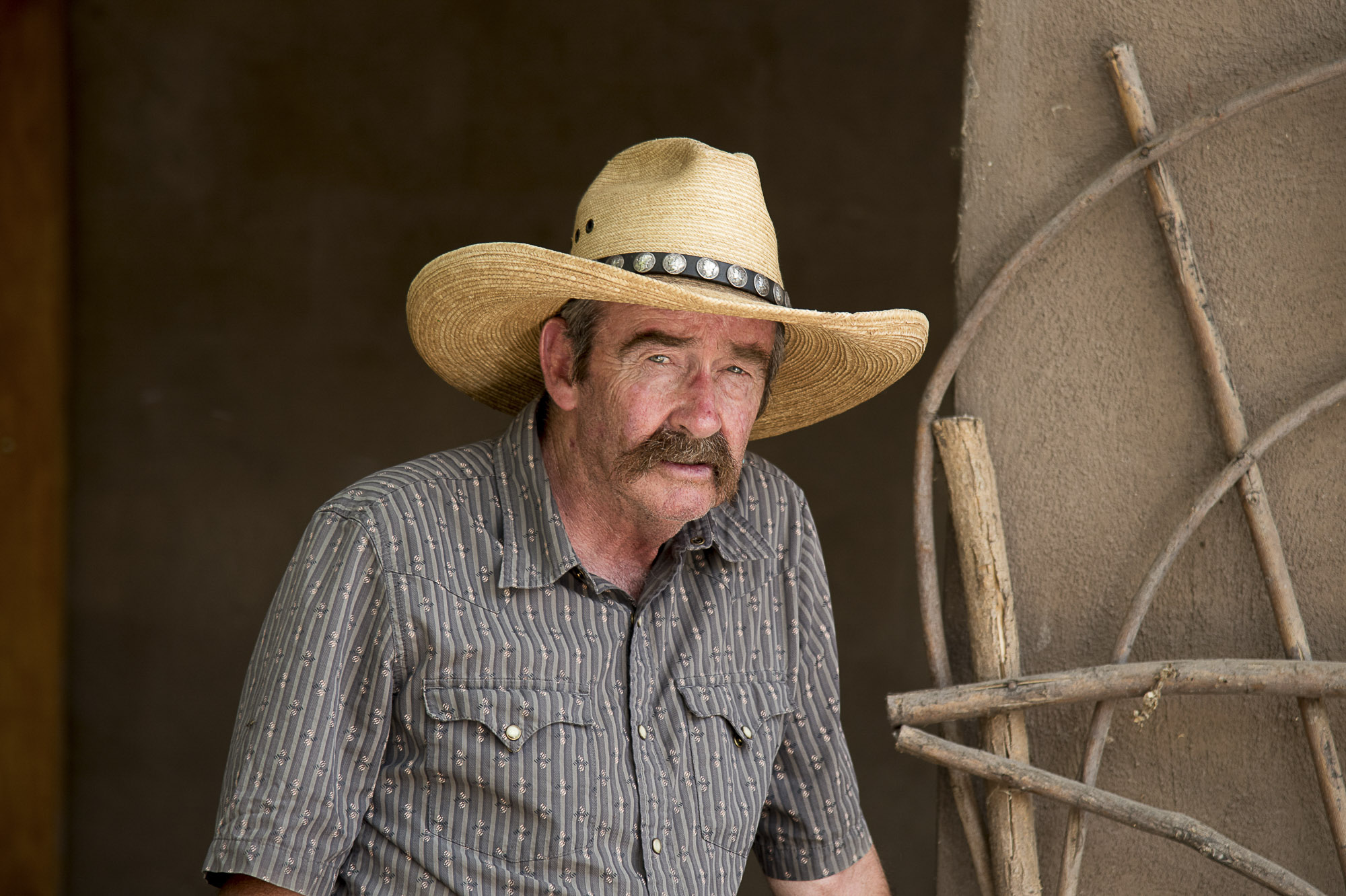 New Mexico Model