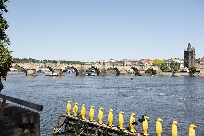Charles Bridge, Prague